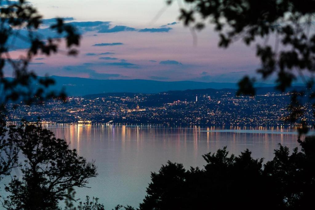 Le Garden - Ski - Vue Lac - Piscine - Parking - Evian - Thonon - Lugrin Exteriör bild