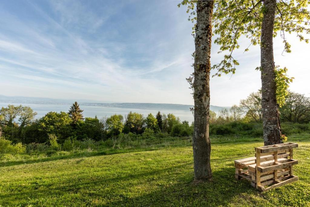 Le Garden - Ski - Vue Lac - Piscine - Parking - Evian - Thonon - Lugrin Exteriör bild